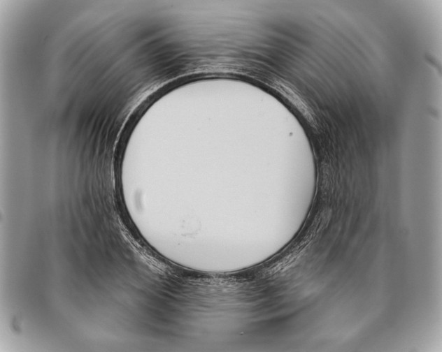 X0000096210980200802081458