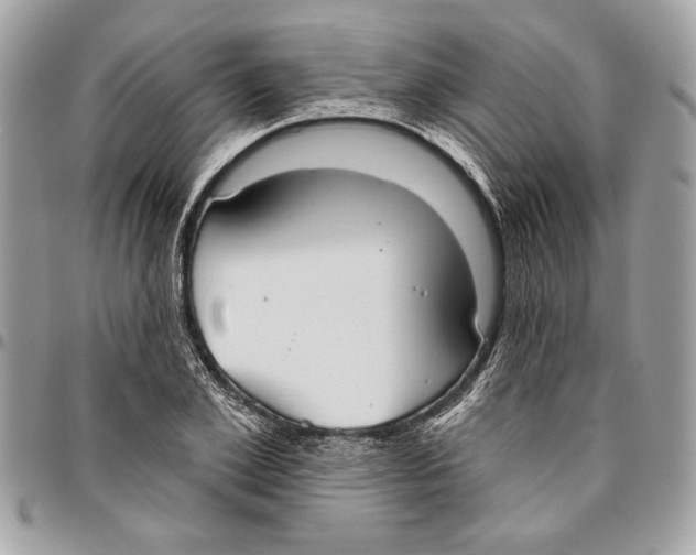 X0000096210981200802081457