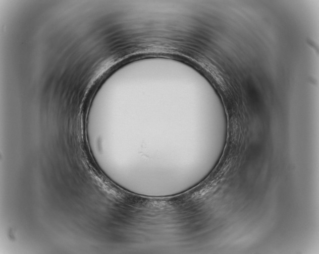 X0000096210982200802081457