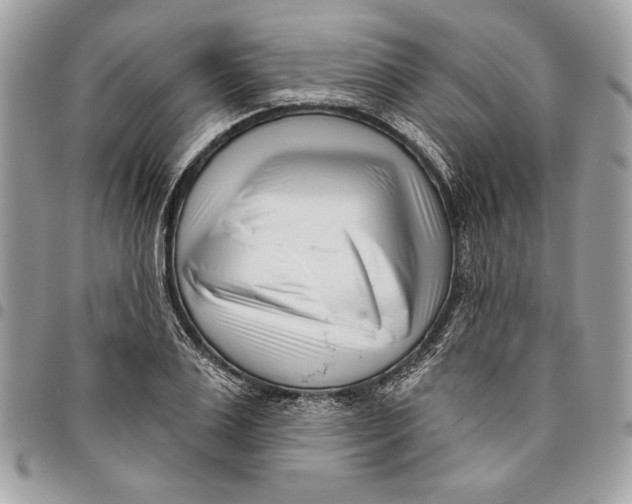 X0000096210983200802081457