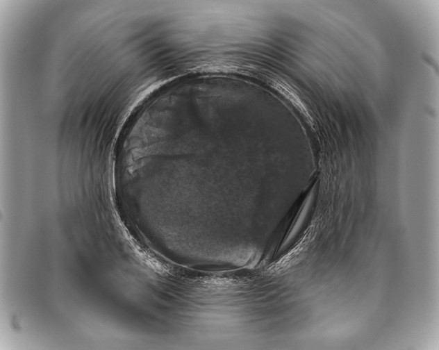 X0000096210984200802081457