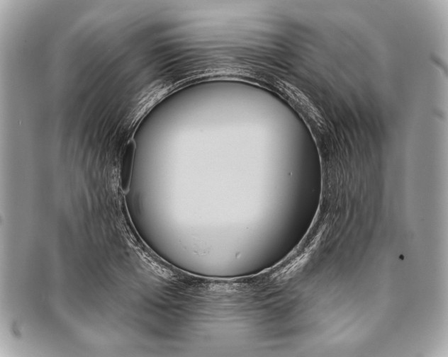 X0000096210985200802081457