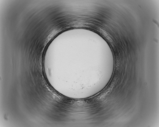 X0000096210986200802081457