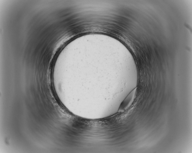 X0000096210987200802081457