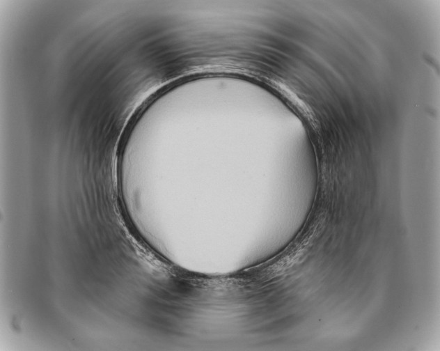 X0000096210988200802081457