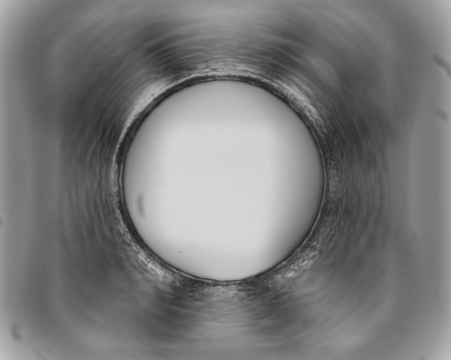 X0000096210990200802081457