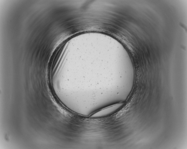 X0000096210991200802081457