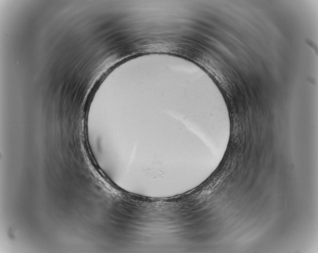 X0000096210992200802081457