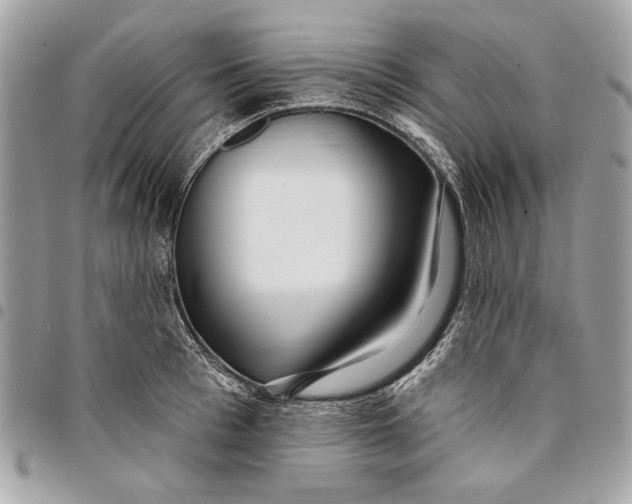 X0000096210993200802081457