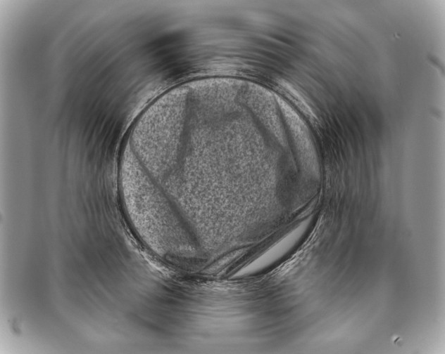 X0000096210994200802081457