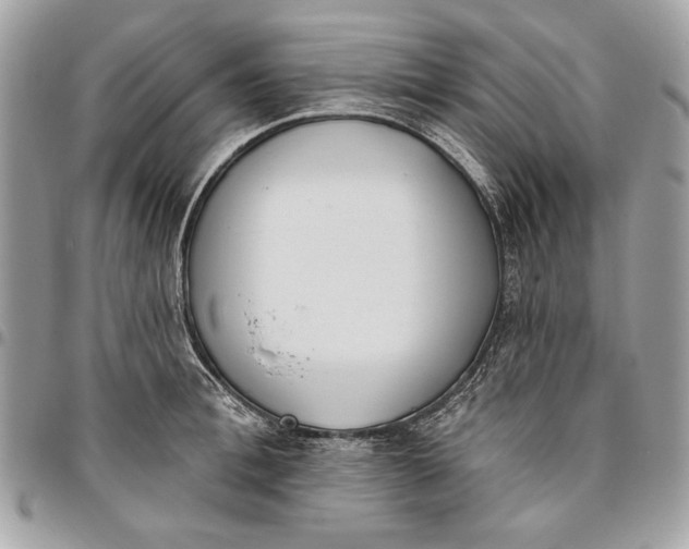 X0000096210996200802081457