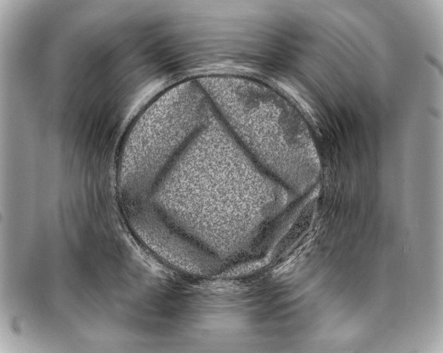 X0000096210998200802081457