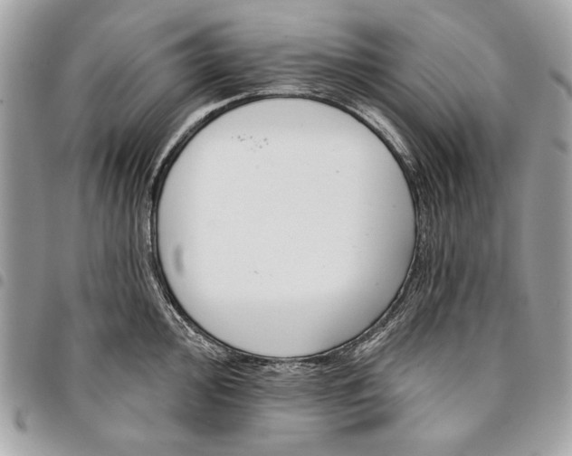 X0000096211000200802081457