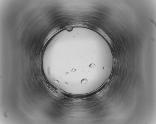 X0000096211002200802081457