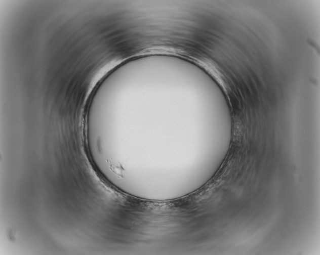 X0000096211003200802081457