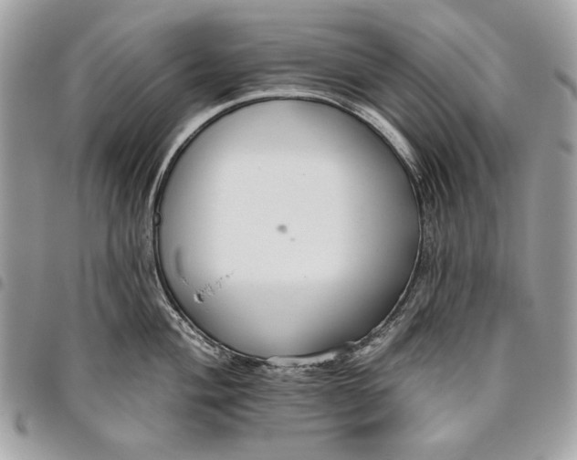 X0000096211004200802081457