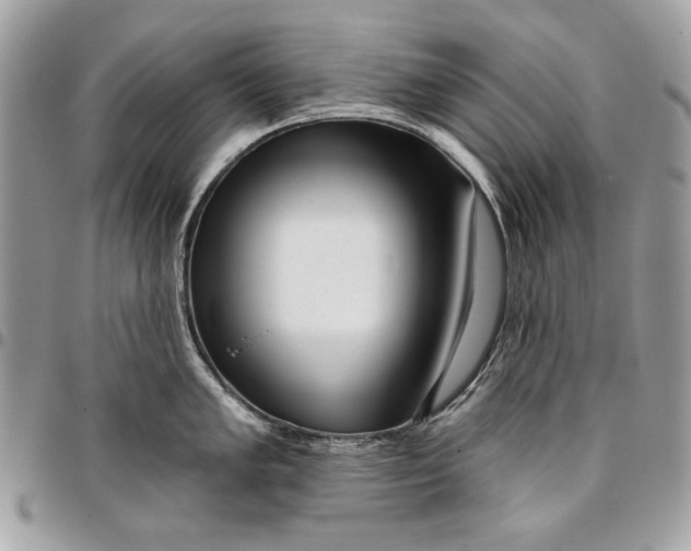 X0000096211005200802081457