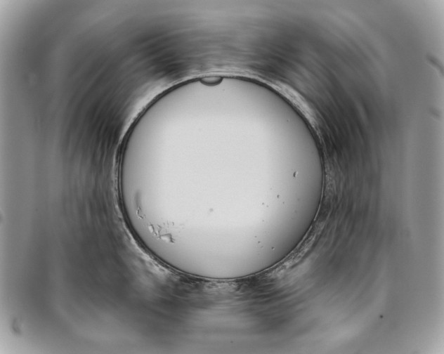 X0000096211006200802081457