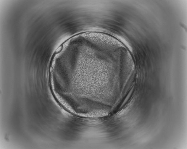 X0000096211007200802081457