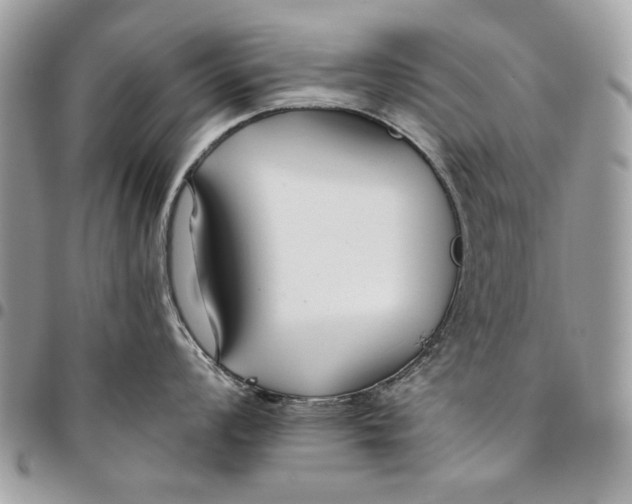 X0000096211008200802081457