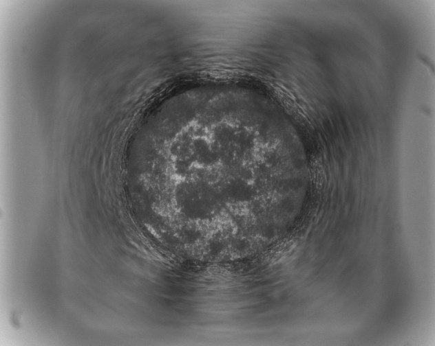 X0000096211009200802081456