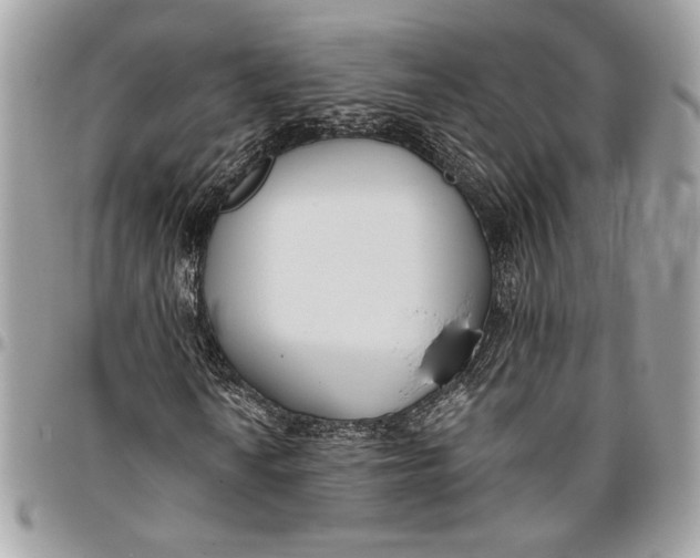 X0000096211010200802081456