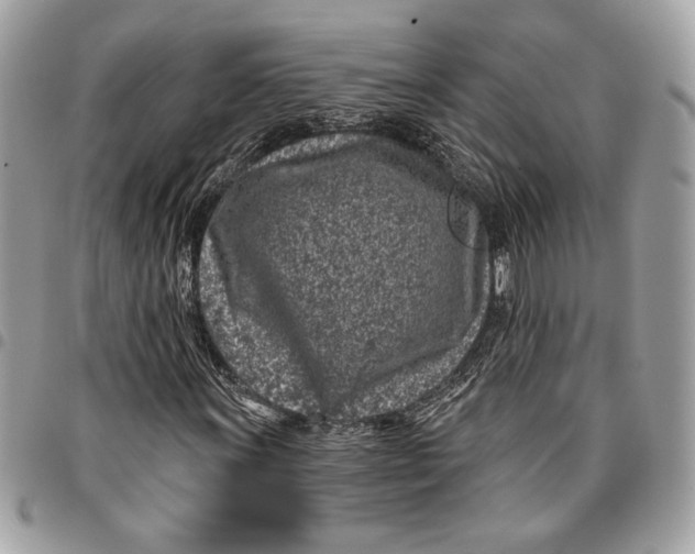 X0000096211011200802081456