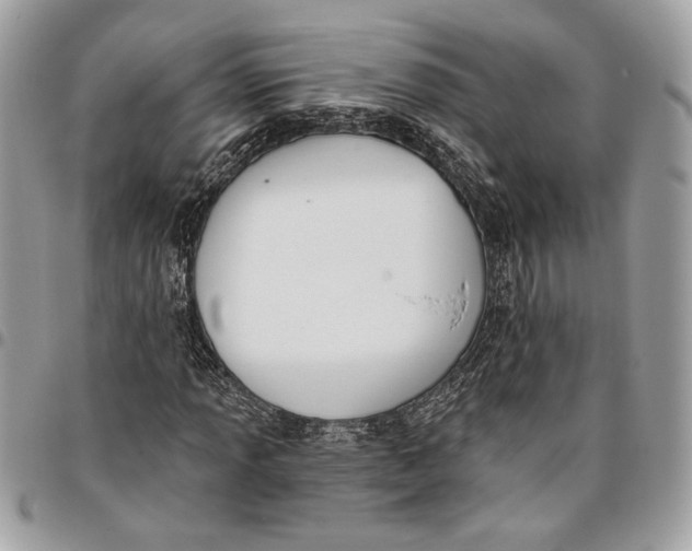 X0000096211013200802081457