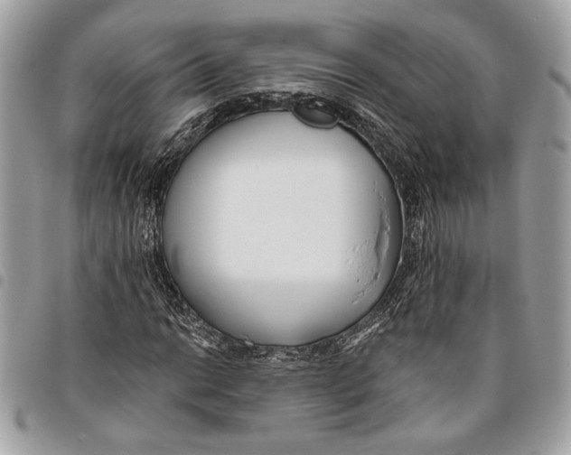 X0000096211014200802081457