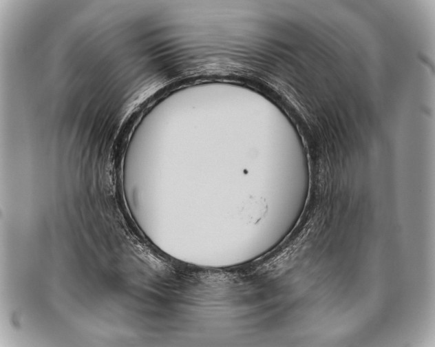 X0000096211018200802081457