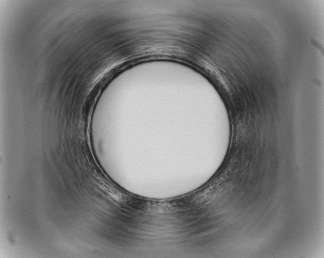 X0000096211019200802081457