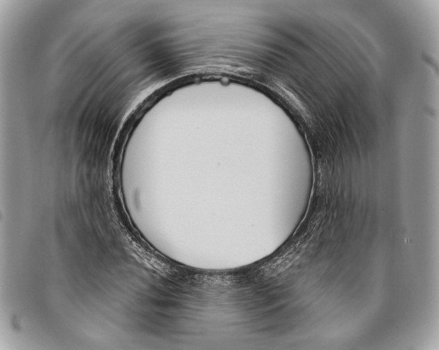 X0000096211020200802081457