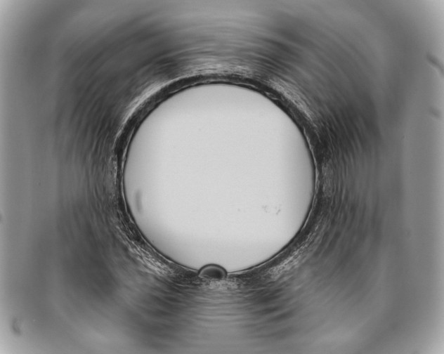 X0000096211021200802081457