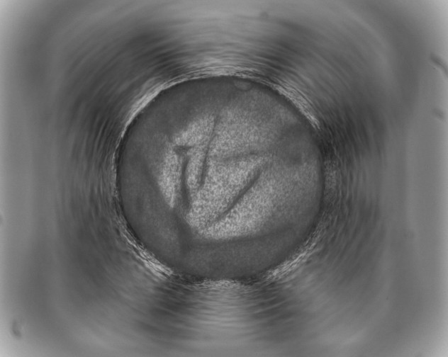 X0000096211023200802081457