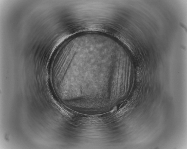 X0000096211024200802081457