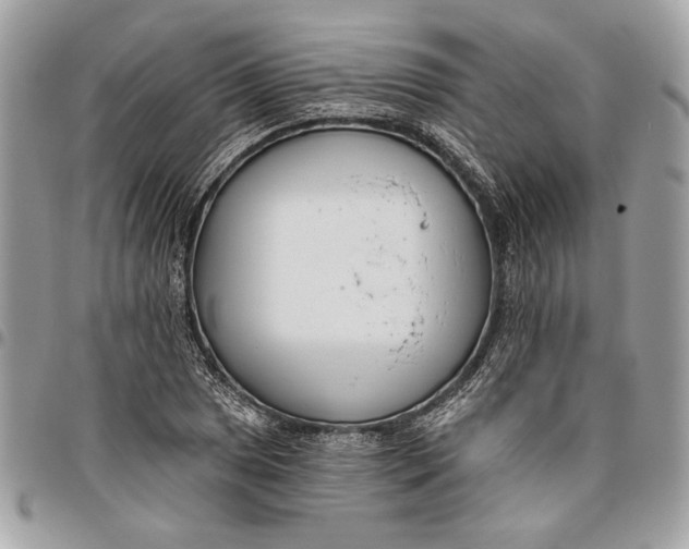 X0000096211025200802081457