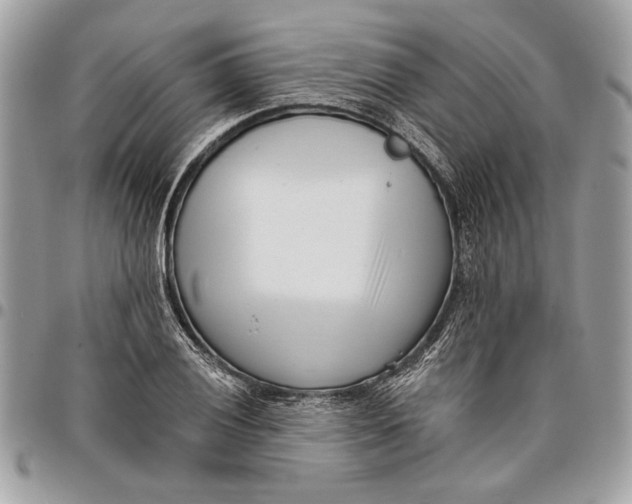 X0000096211028200802081457