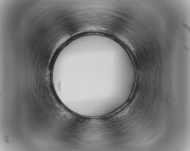 X0000096211029200802081457