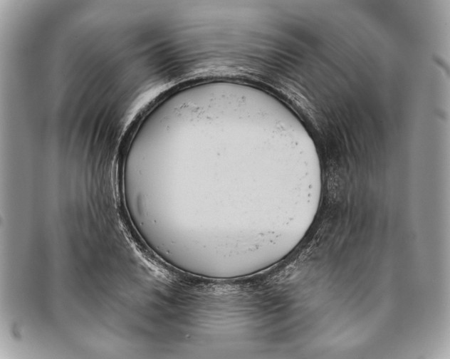 X0000096211030200802081457