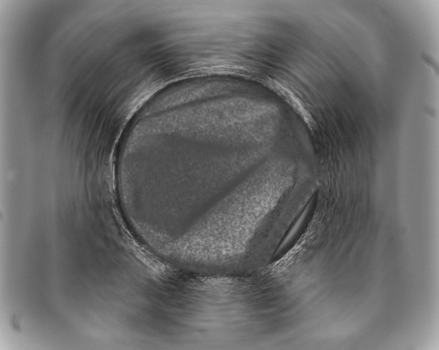 X0000096211031200802081457