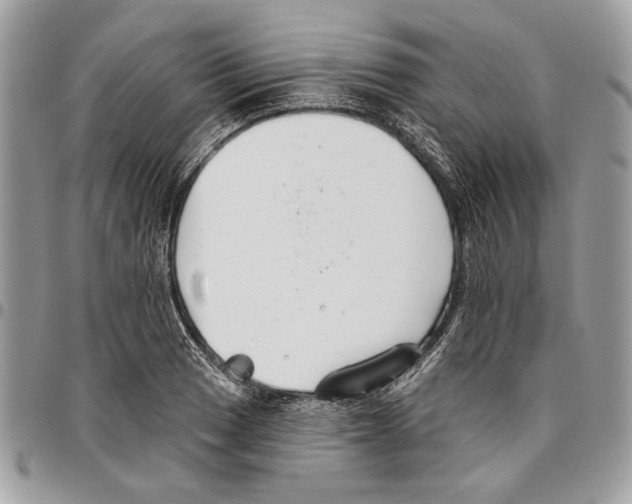 X0000096211033200802081457