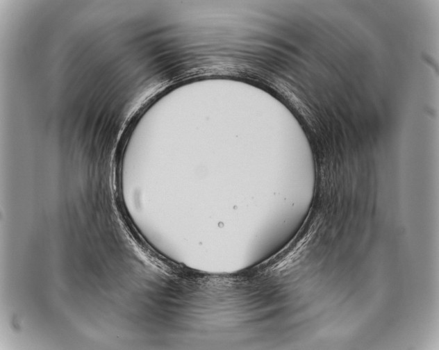 X0000096211034200802081457