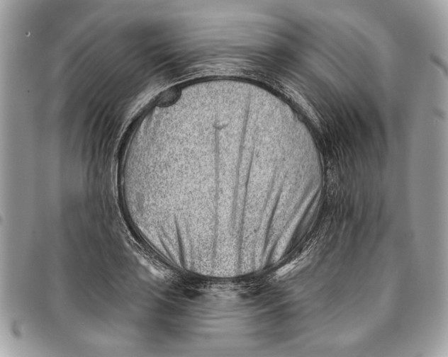 X0000096211035200802081457