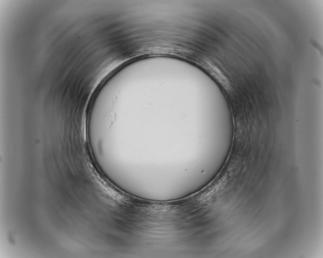 X0000096211036200802081457