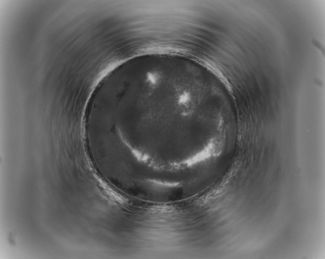 X0000096211037200802081457