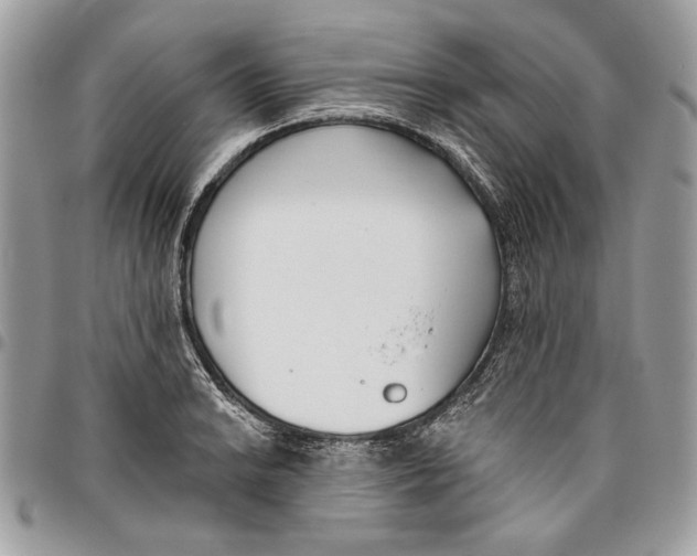 X0000096211038200802081457