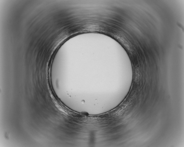 X0000096211039200802081457