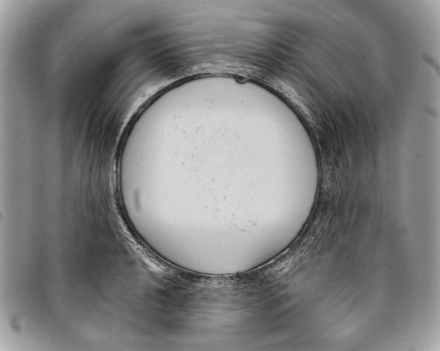 X0000096211040200802081457