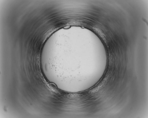 X0000096211041200802081457