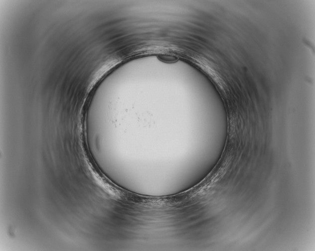 X0000096211042200802081457